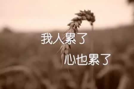𷢵Ȧ