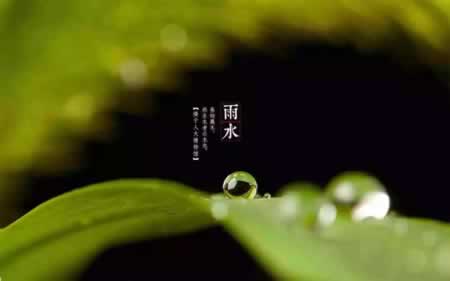 ˮʺ