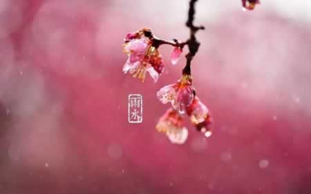 雨水的经典祝福语