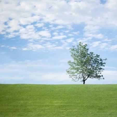 ľ