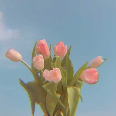 Ӣʺף