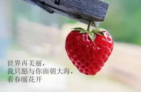 ĸ黰
