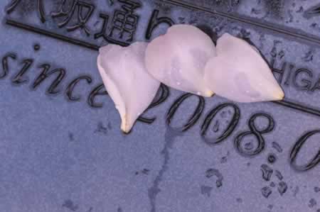 关于下雨的文案