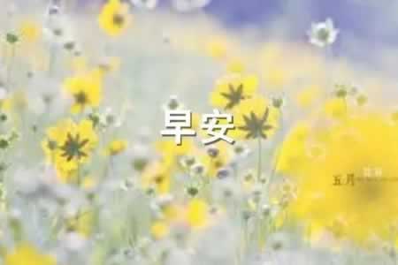 簲ͼƬʺ