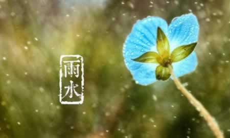 雨水发朋友圈的唯美句子