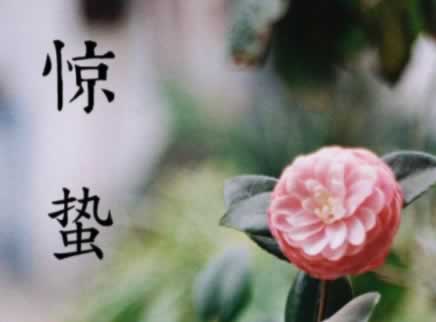 惊蛰祝福语简短一句