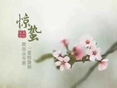 ھݵĹʫ