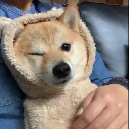 Ĭ˵˵ ɰľ