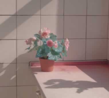 2021µһ簲˵˵