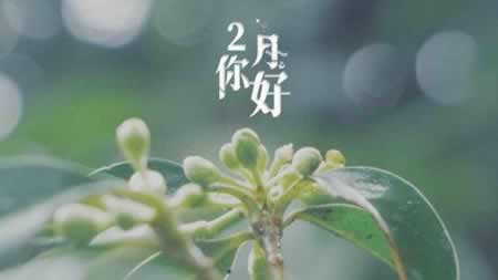 告别一月迎接二月的说说