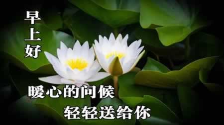 早上短信问候女朋友