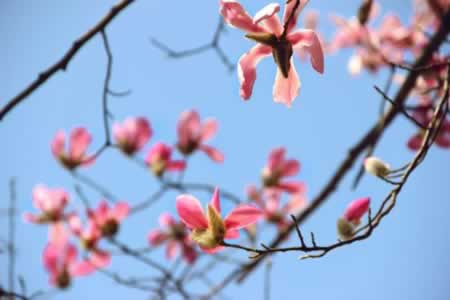 短信刷存在感问候语