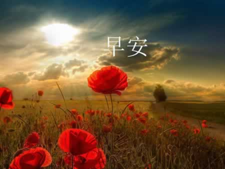 早上的搞笑问候短信