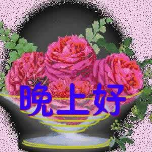 ܰʺŴȫ