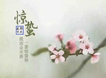 ȫ