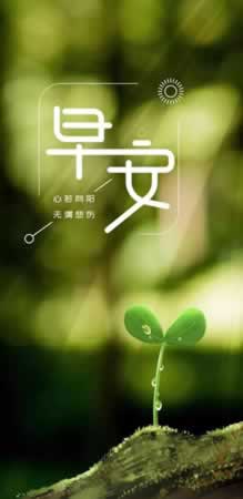 早上给亲爱的问候幽默短信