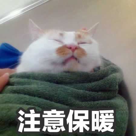 客户问候短信转冷