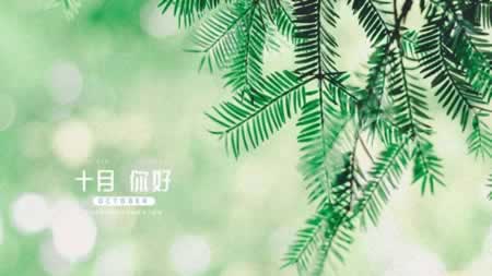 뷢ʺŮ