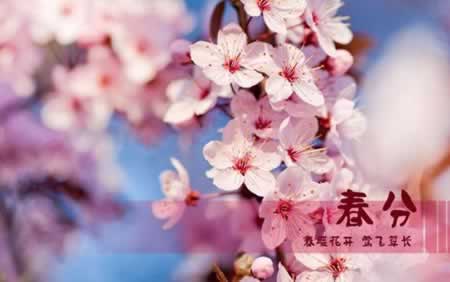 春分节气祝福语