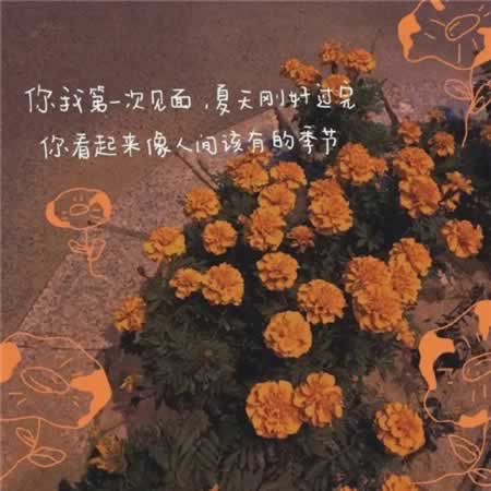 ʺͻģ