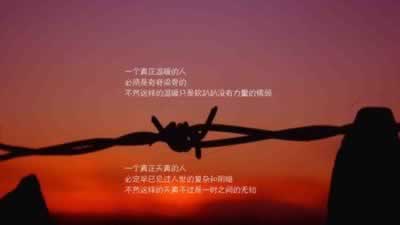 献给人生的哲理感言