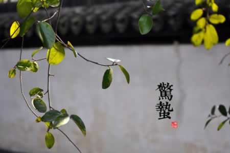 经典惊蛰祝福语