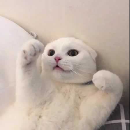 十字短句温柔文案