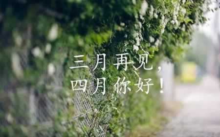 ټ˵˵