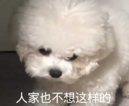 ĬЦ˵˵