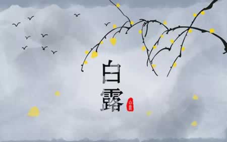 白露问候短信问候语
