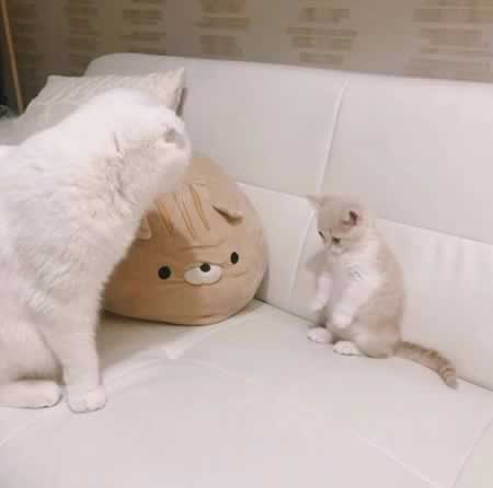 女生喜欢的文案