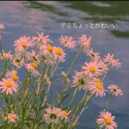 女孩优质文案