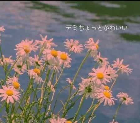 ܻ𳬼ɾ