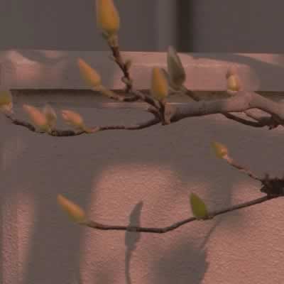 小红书伤感文案
