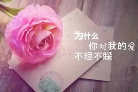 抖音热门文案2021