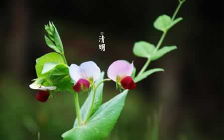 ڷȦ˵˵һ仰