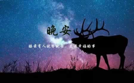 晚上发的文案短句