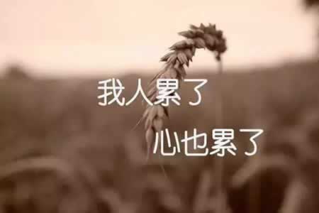˸о