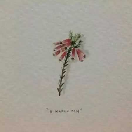 ϵӰʶԽþԽ