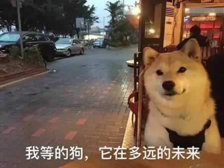 Ϧ˵˵µ