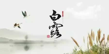 ¶ףܰĻ
