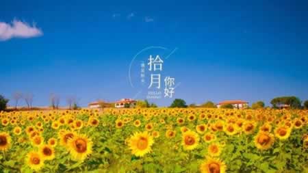 再见九月,你好十月美句