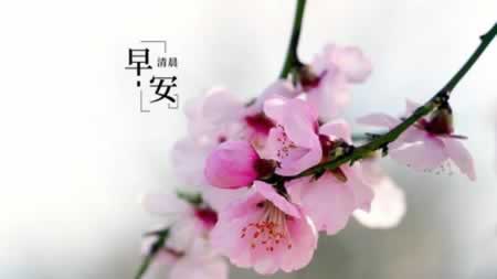 õ簲ʺ