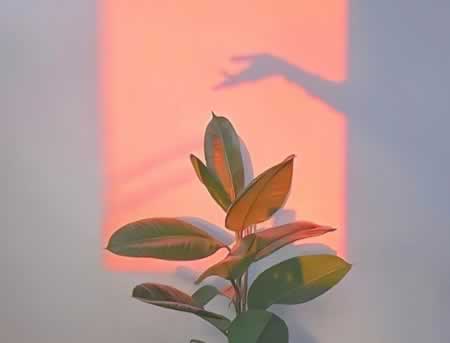 Ķľ
