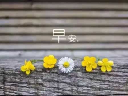 早安语录适合发朋友圈早安的句子