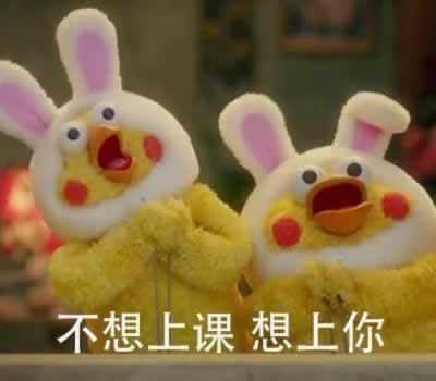 Ůѵ黰 ŵľ