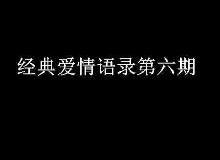 经典爱情语录第六期