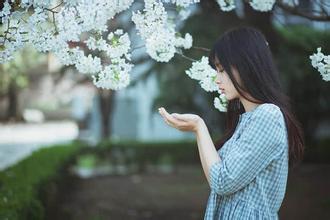 芳心暗许的暗恋句子