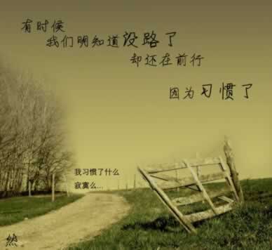 习惯的伤感句子