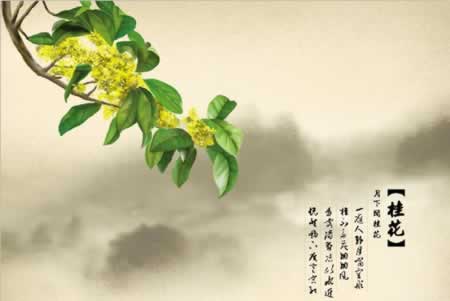 ڹ𻨵